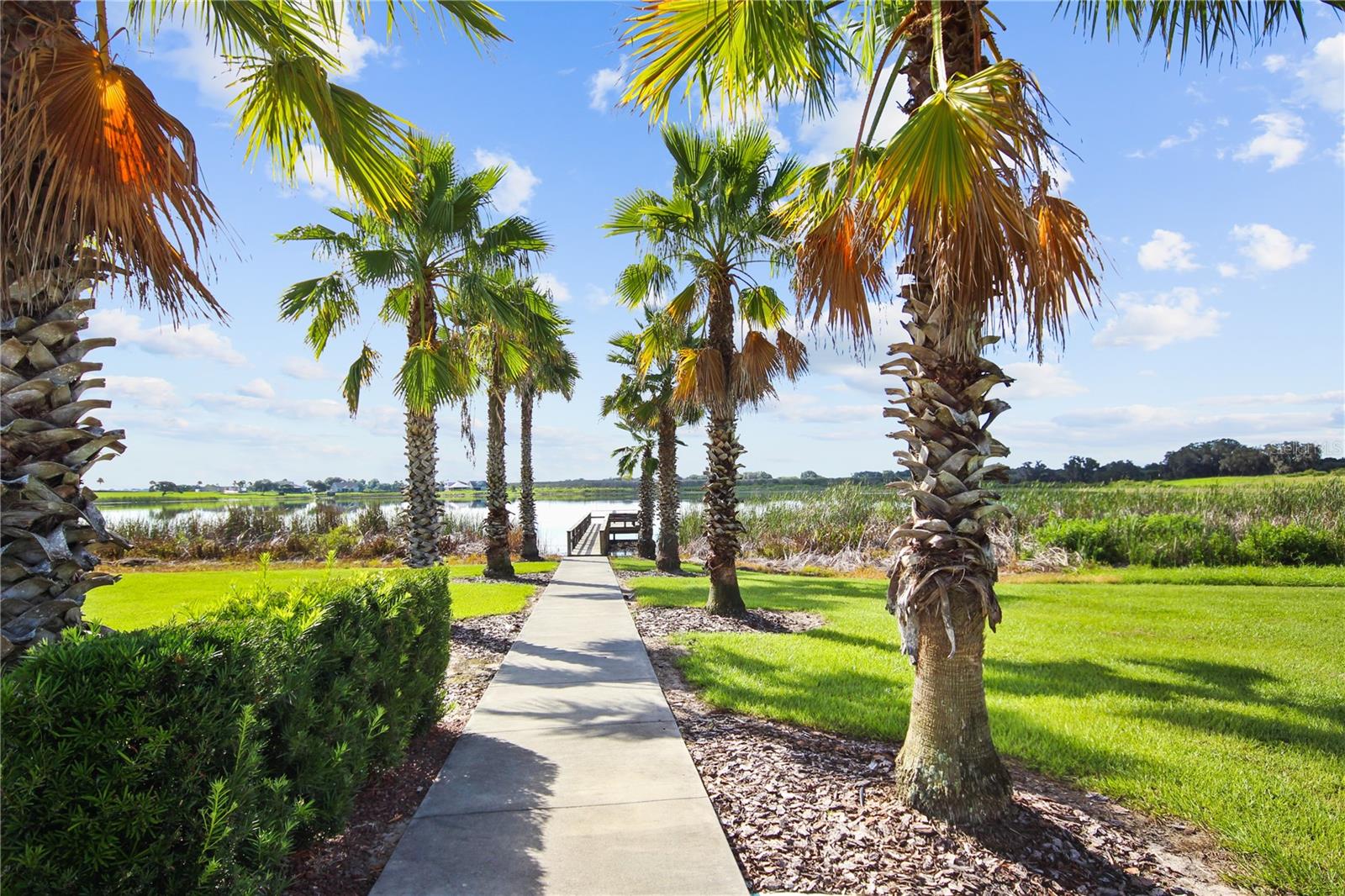 WATER RIDGE SUB - Land