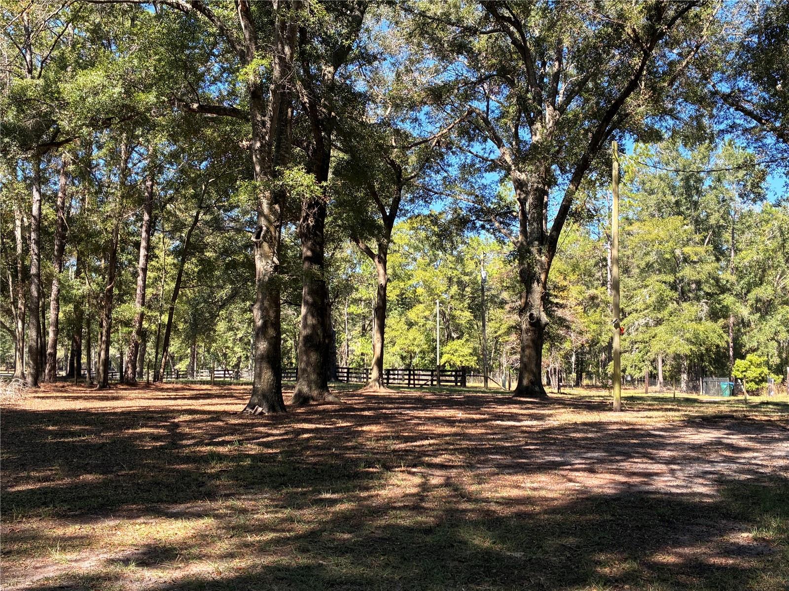 UNDERWOOD HILL FOREST - Residential