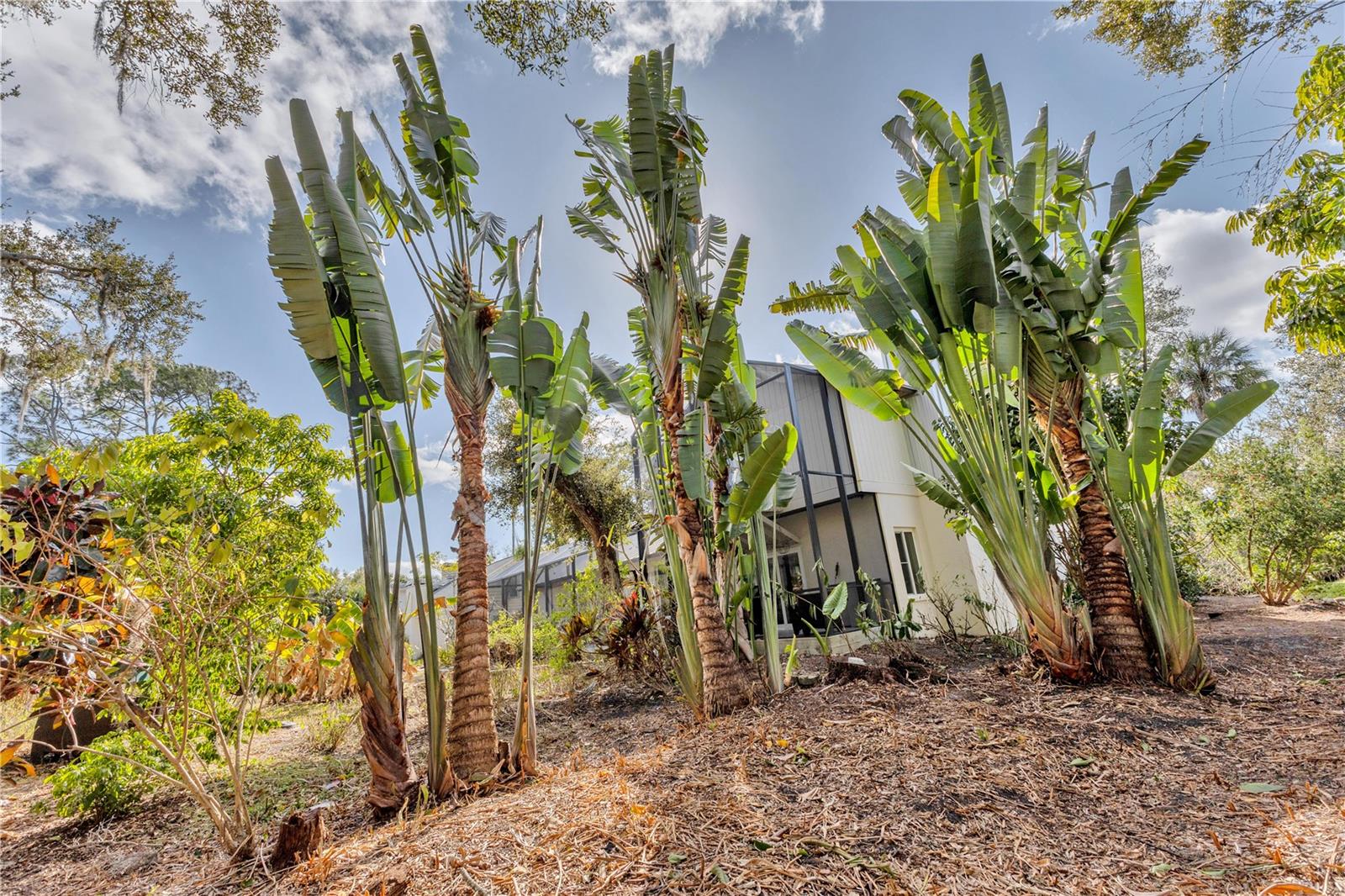 HIDDEN OAKS NORTH - Residential