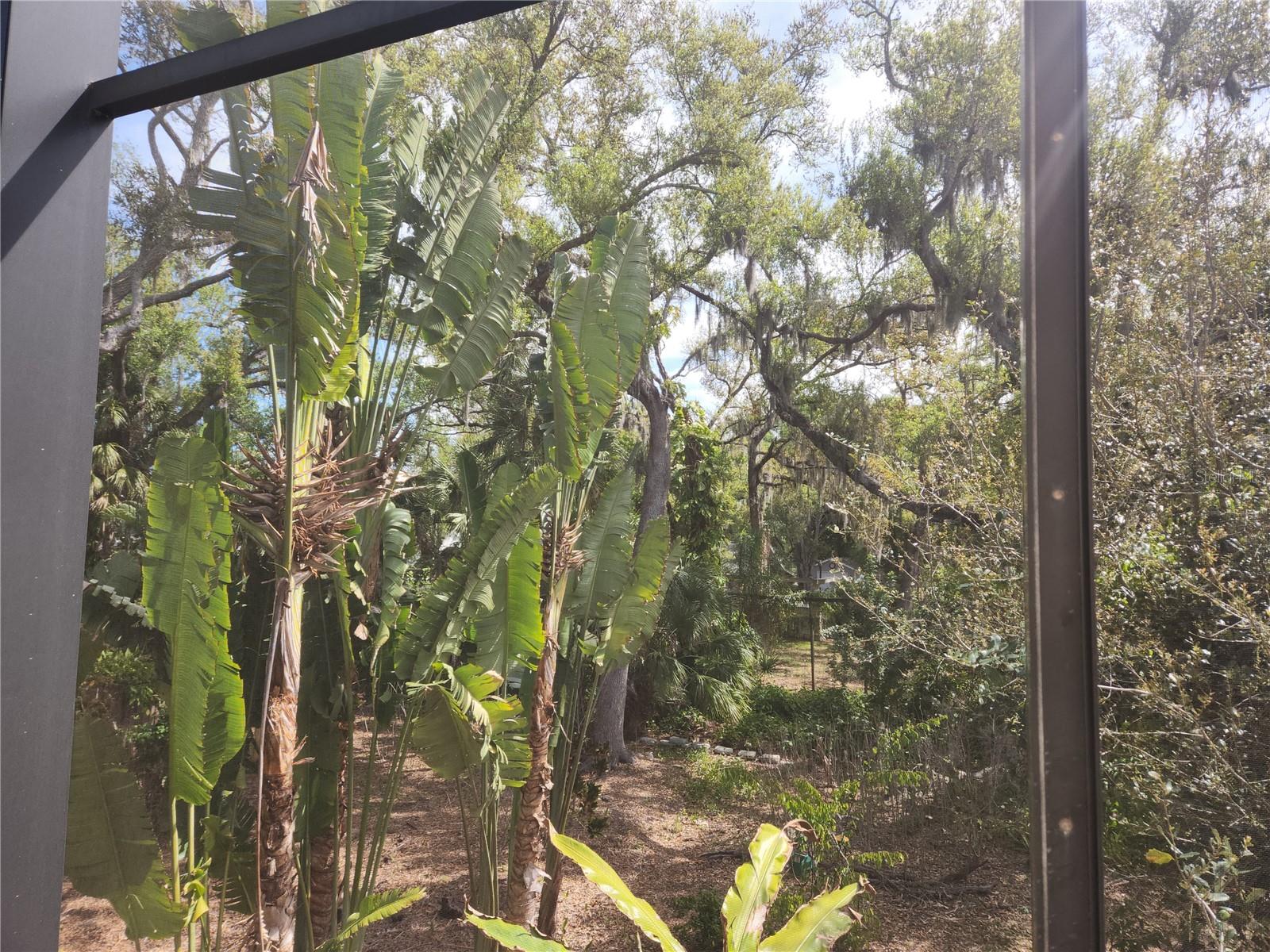 HIDDEN OAKS NORTH - Residential