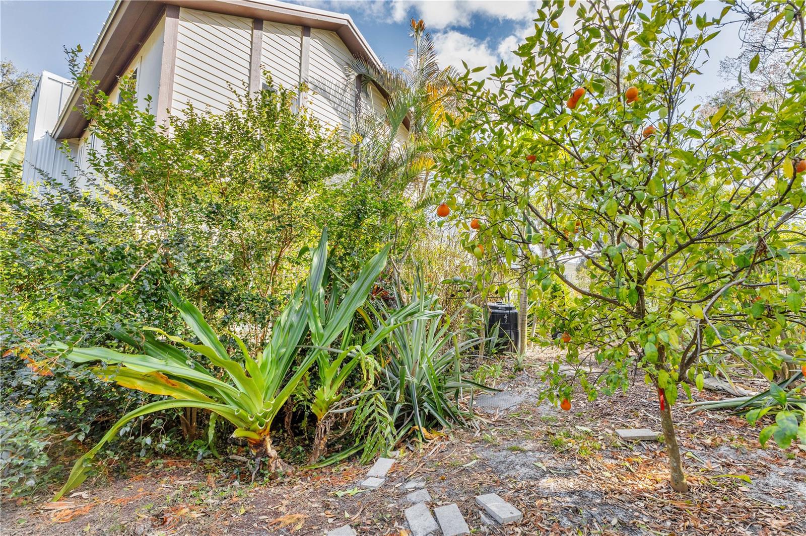 HIDDEN OAKS NORTH - Residential