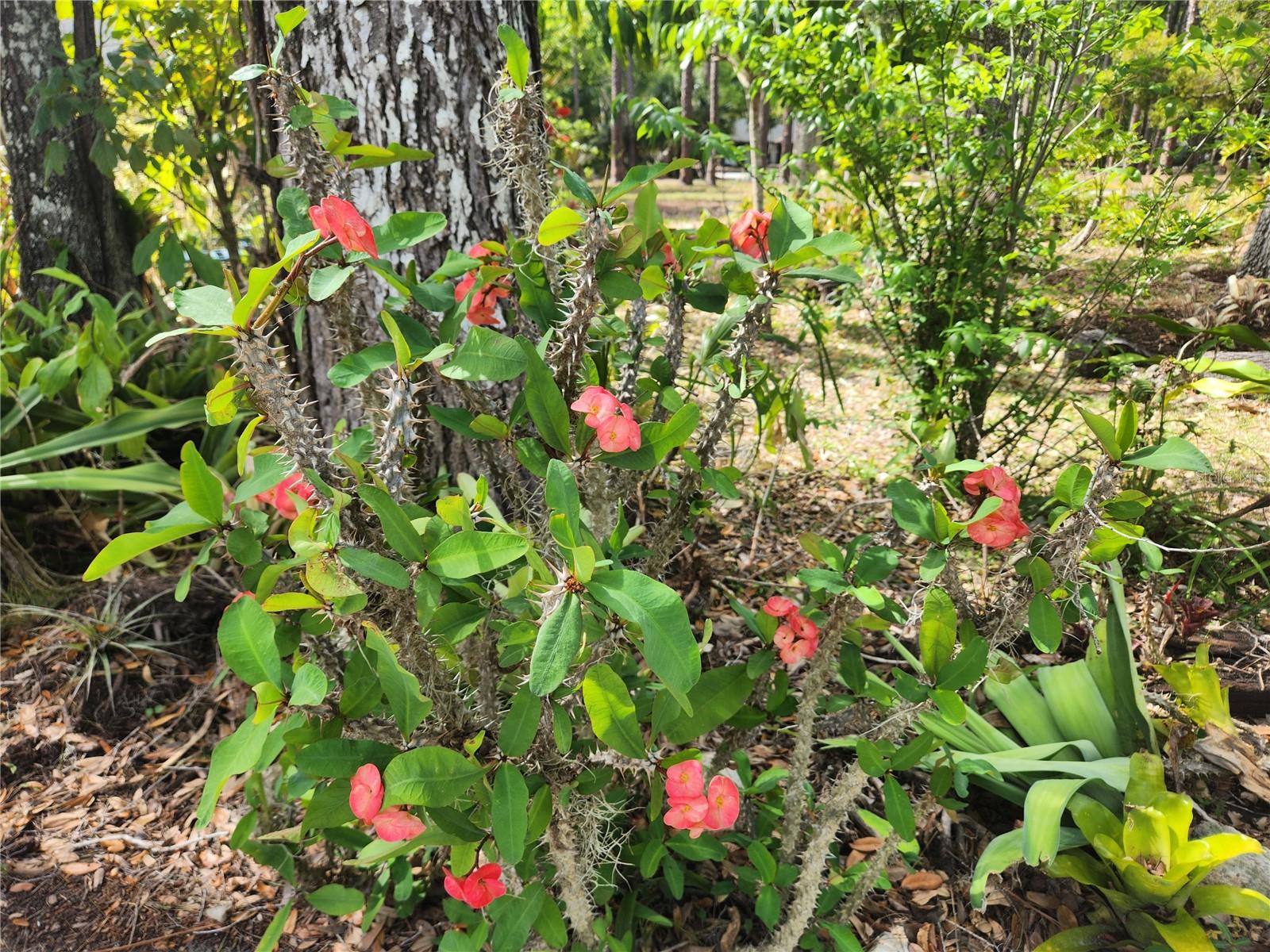 HIDDEN OAKS NORTH - Residential
