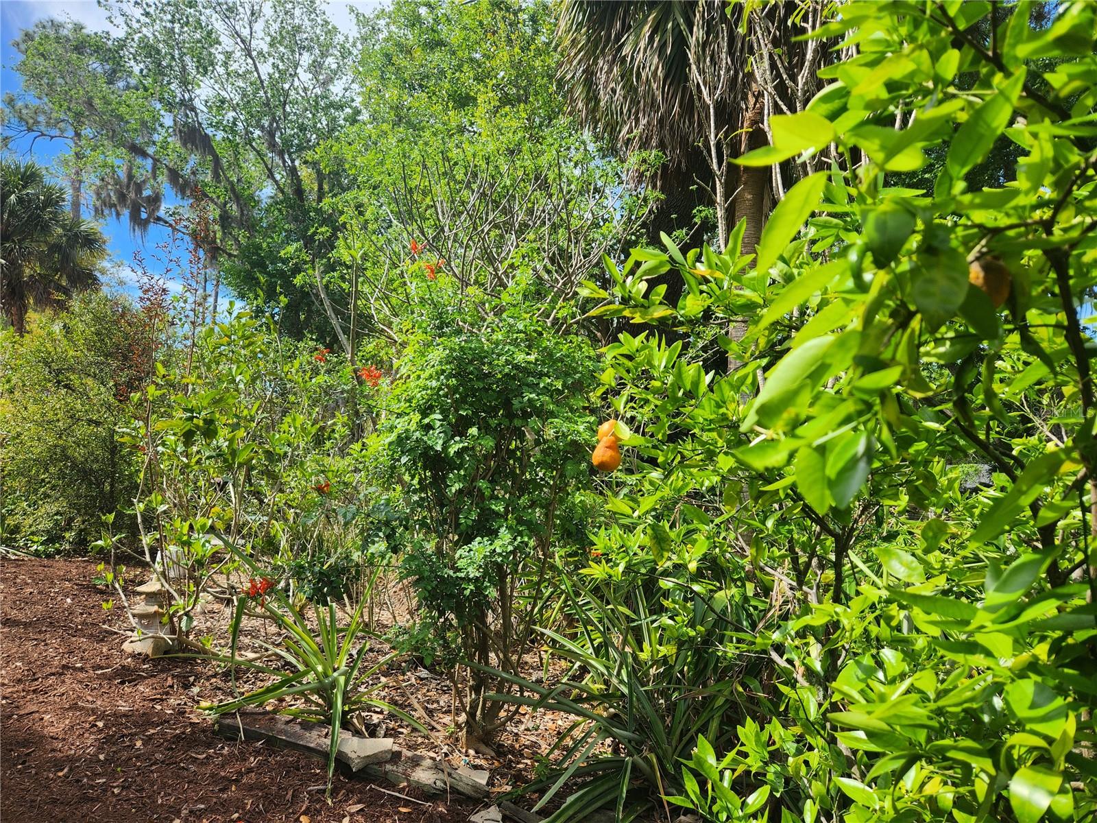 HIDDEN OAKS NORTH - Residential