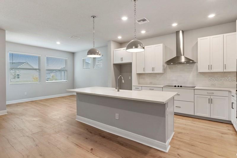 DISSTON WOODS - Residential