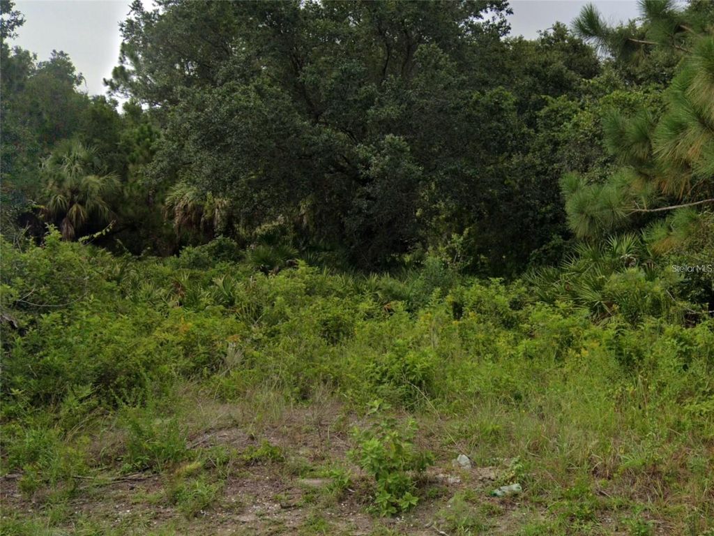 Photo of Skile Road, North Port, FL 34287 (MLS # N6142688)
