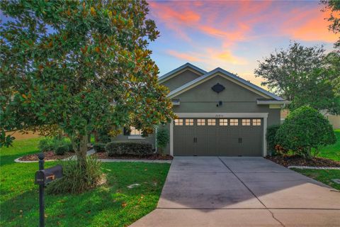 A home in MOUNT DORA