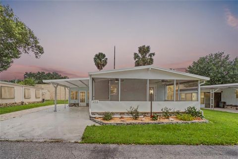 Photo of 205 Meadow Lark Drive, Osteen, FL 32764 (MLS # O6338310)