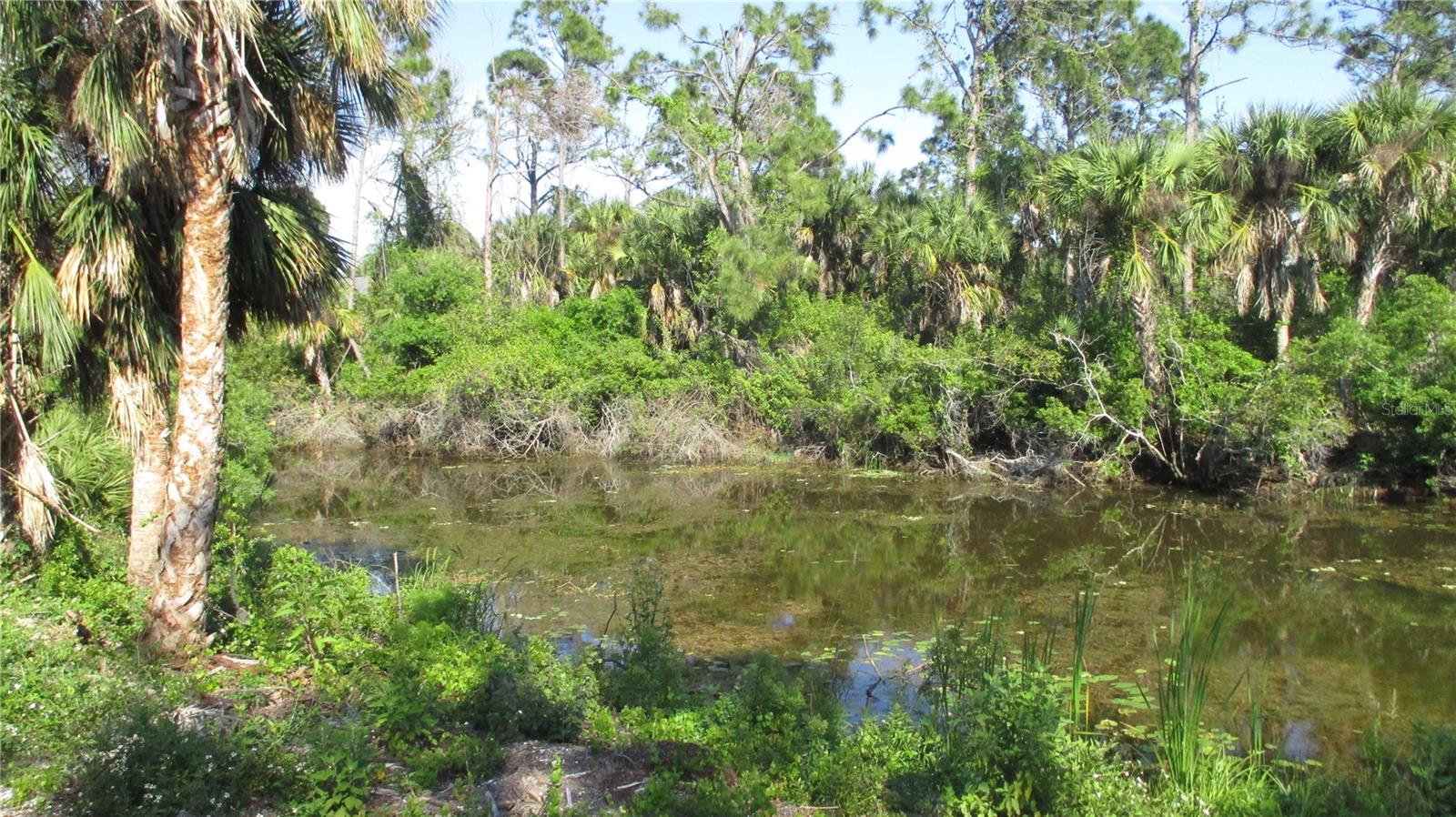 Buildable waterfront lot in the center of N Port. No Scrub Jay, NO flood zone
In area of new homes. Good elevated lot, do not need spend money for filling dert