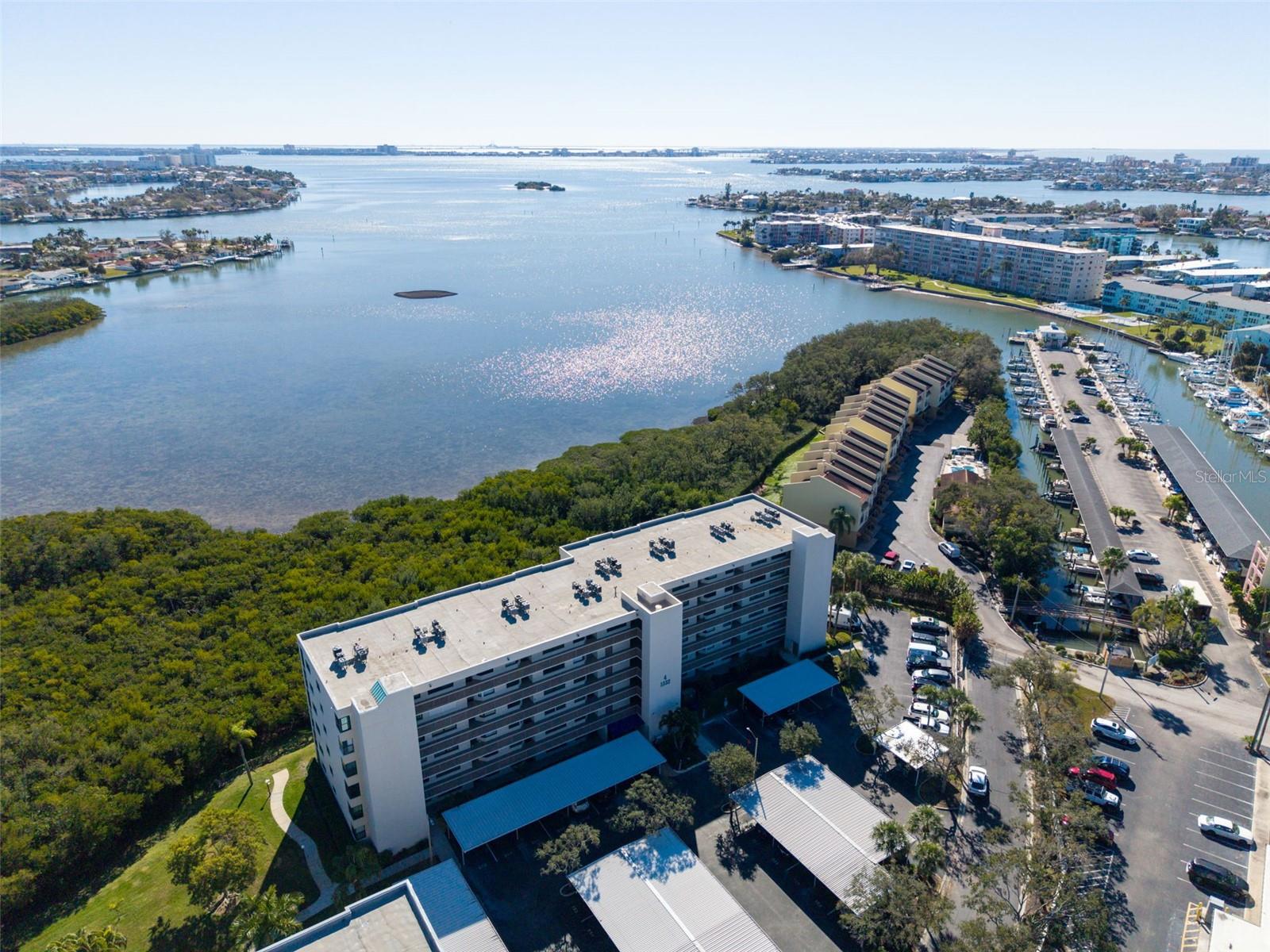 1332 PASADENA AVENUE S 205