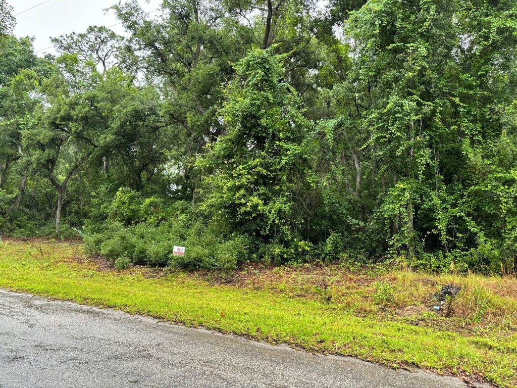 Photo of 11 Fisher Way Course, Ocklawaha, FL 32179 (MLS # O6397619)