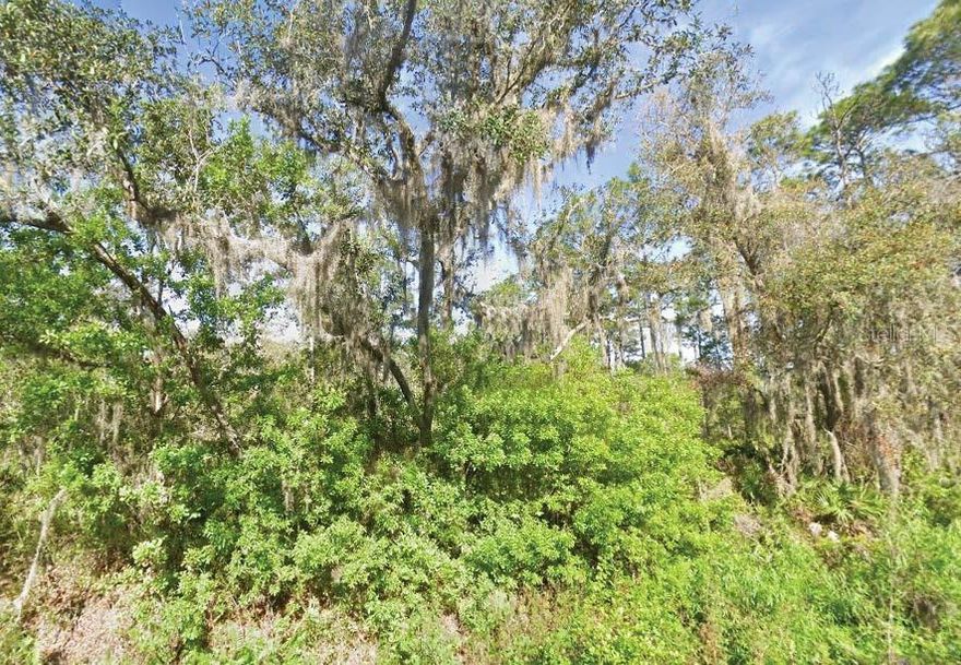 This vacant residential lot in Crescent Shores Heights offers a peaceful setting for building your dream home. Conveniently located near local amenities, the property combines privacy with easy access to Crescent City and surrounding areas. All information is deemed reliable but should be independently verified.