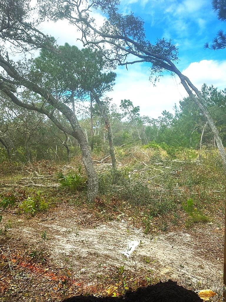 HUDSON GROVES ESTATES - Land