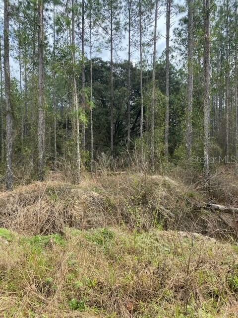 HUDSON GROVES ESTATES - Land