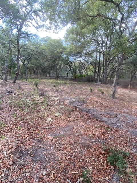 HUDSON GROVES ESTATES - Land