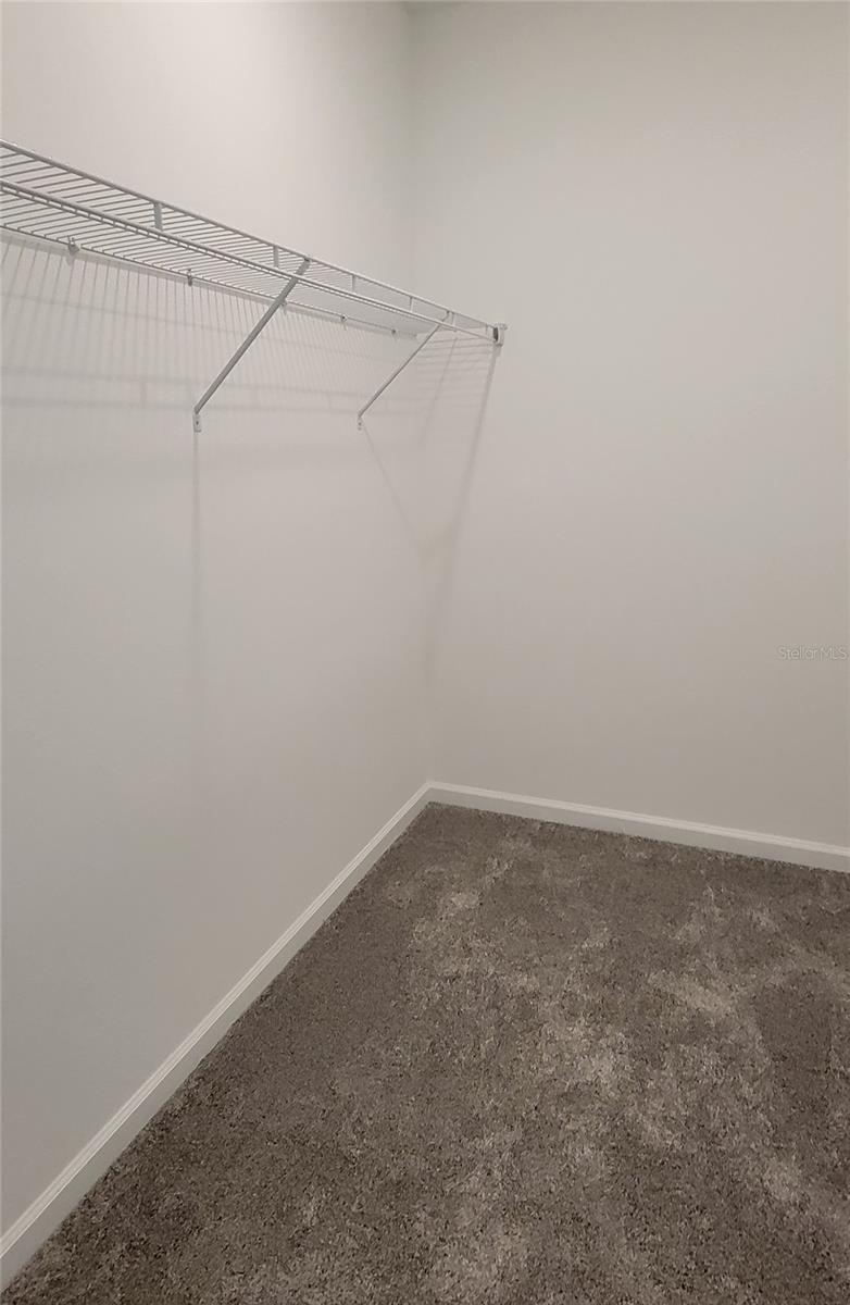 WELLNESS WAY 32S - Residential Lease