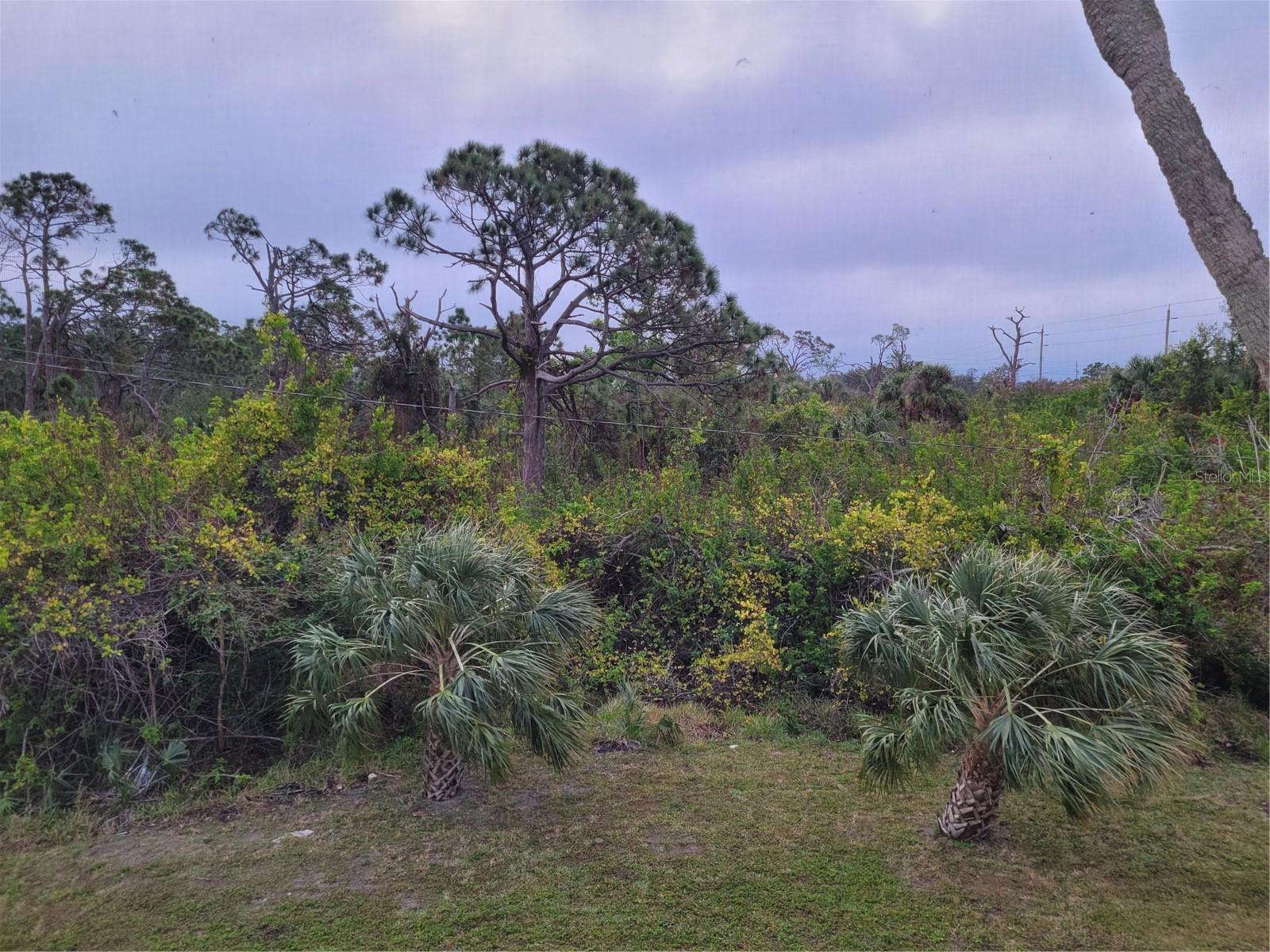 CAPE PH 02 - Residential Lease