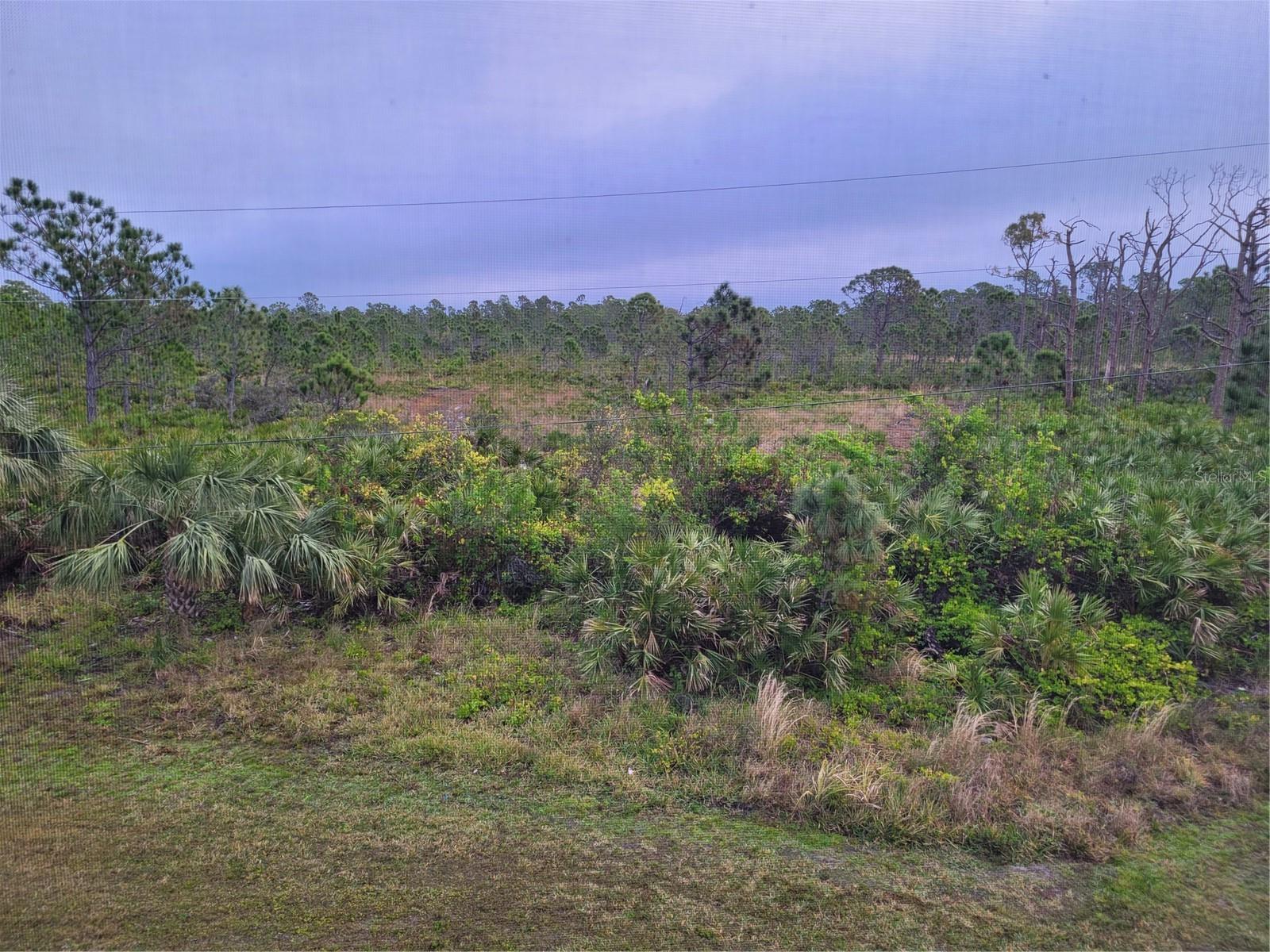 CAPE PH 02 - Residential Lease