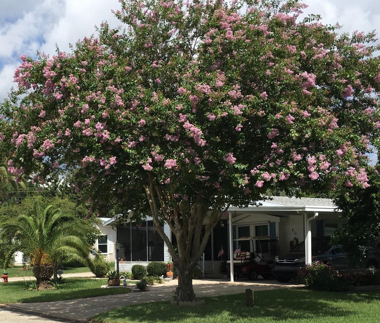 Edgewater Landing Ph 02 - Residential