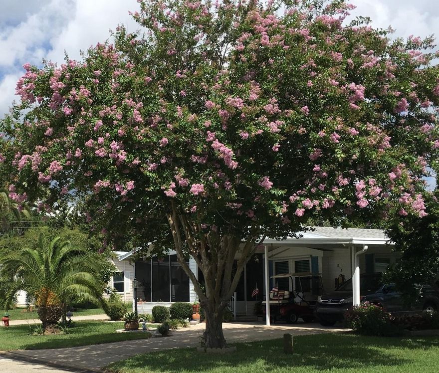 This bright and charming home is filled with updates and thoughtful touches, making it the perfect place to call home.  The beautifully maintained and carefully designed landscaping make the lot not only a treat for the eyes but also provides a tremendous amount of privacy. The oversized carport easily fits two cars and has additional space for your golf cart. The screened in patio at the rear also opens to allow secure golf cart and bike storage.  As you enter, the open floor plan and vaulted ceilings create a bright and welcoming space. Turn the corner to your formal dining open to your HUGE fully renovated kitchen, with eat in peninsula, large prep island, new appliances, soft close drawers, pull out cabinets, and built in wine rack.  Open the sliders onto the spacious screened porch, the solar screens provide extra privacy, block harmful UV ray, and even keep out pesky gnats and mosquitoes so you can enjoy the patio in peace. 

Just off the kitchen is the media room and a large family room for additional entertaining space.  Down the hall are the guest bedroom and fully remodeled guest bath. At the end of the hall you enter the lovely and spacious master bedroom with tons of natural light and walk in closet.  The updated ensuite bathroom features double sinks, vanity space and a newly remodeled shower.  

Additional features include private backyard space surrounded by lush landscaping, inclosed outdoor storage space, hurricane shutters,  new double hung double pane pivot windows. This home meets current Miami Dade  hurricane guidelines for manufactured homes and is located in an elevated area of the community. Close to Walgreens and Publix in Edgewater Commons Shopping Center. Community dues include  common spaces, basic cable, internet, club house, pool tennis, bacci, boat launch, 1 space for boat or RV storage, fishing dock access, fitness center, game room. ;Water: City