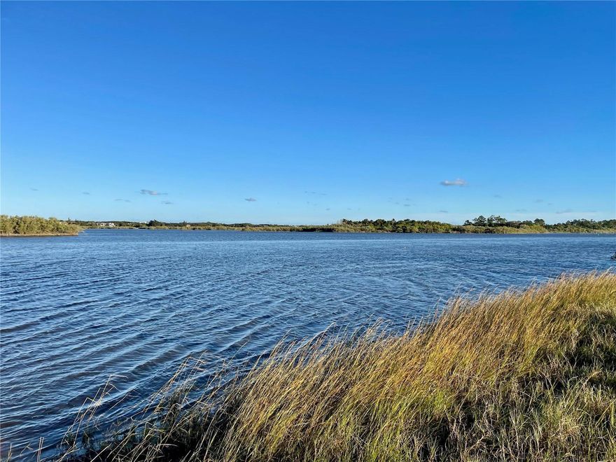 DIRECT WATERFRONT LOT ON INTERCOASTAL WATERWAY AT LUXURIOUS VERANDA BAY IN FLAGER BEACH! Beautiful 50’ x 130’ lot (x zone) with stunning views is ready for you to build your dream home with private dock. This spectacular gated community boasts world class amenities. This opportunity won’t last long!