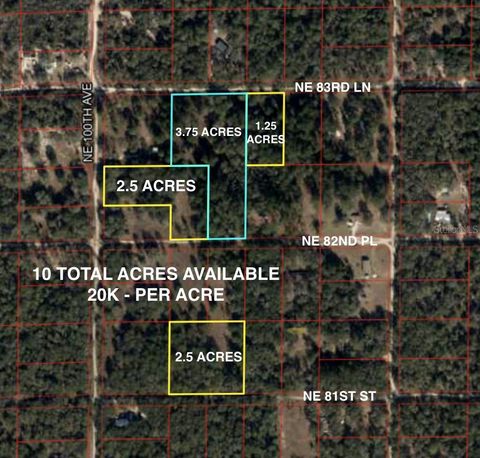 0000 NE 83RD LANE BRONSON FL 32621