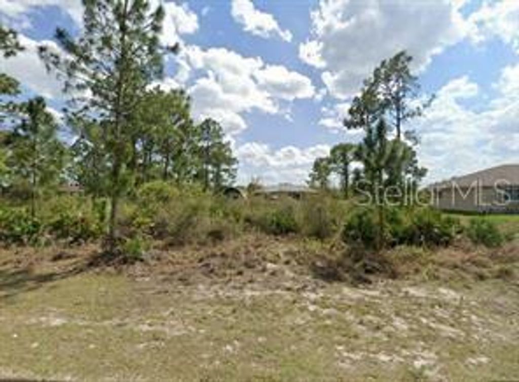 Photo of 2915 9 Th Street W, Lehigh Acres, FL 33971 (MLS # TB8466383)