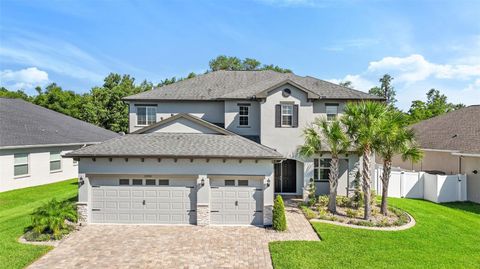 A home in LAND O LAKES