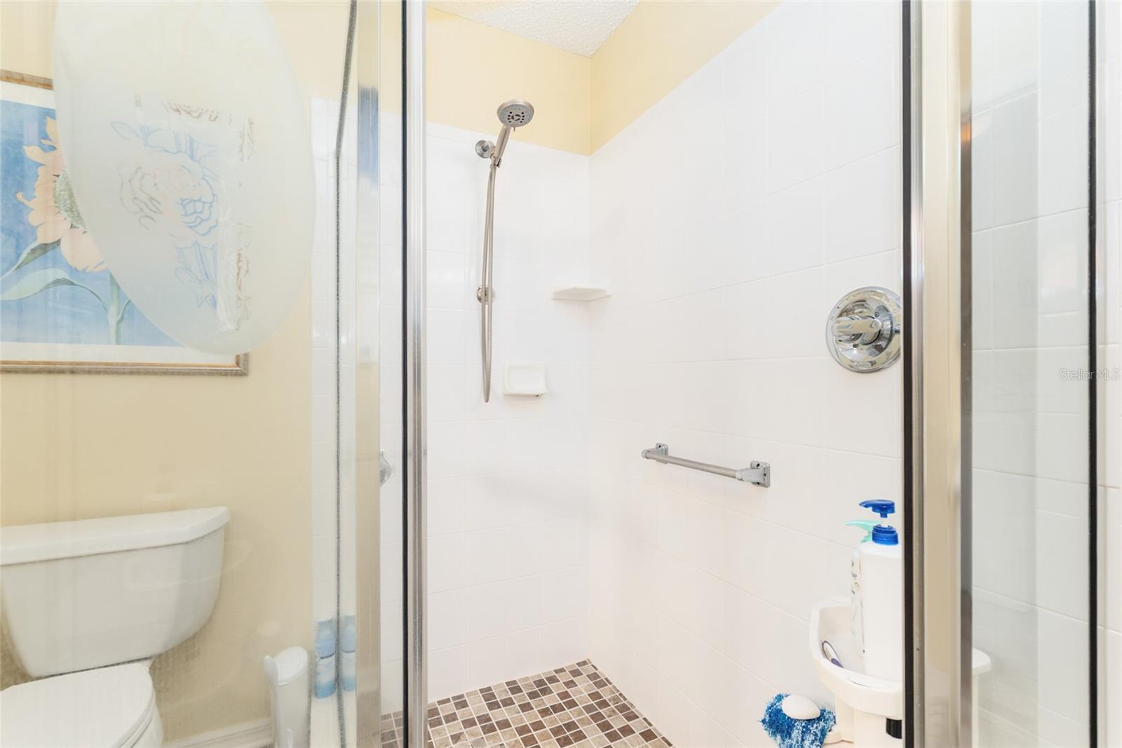 VILLAGES OF SUMTER - Residential