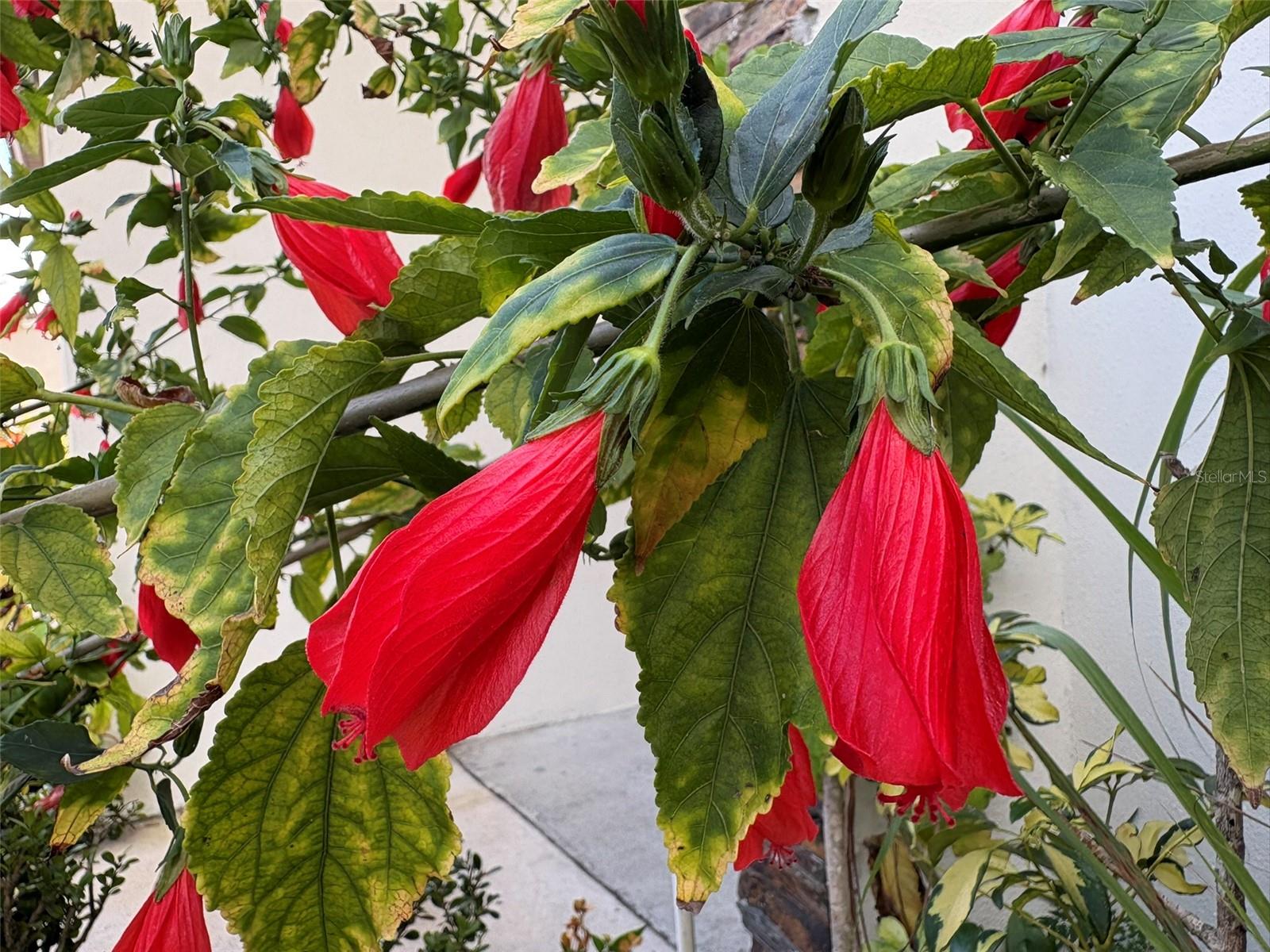 LAKE LOVELY ESTATES SUB - Residential