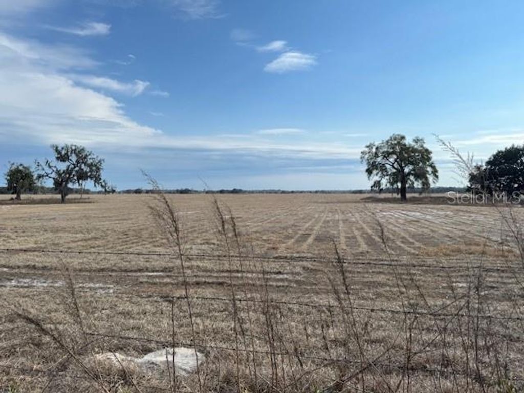 Photo of 112 SW 115th Avenue, Dunnellon, FL 34432 (MLS # W7884364)