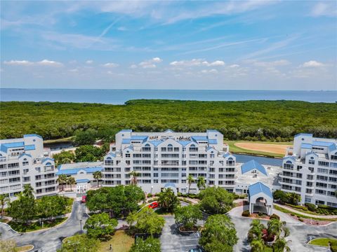 2333 FEATHER SOUND DRIVE B101 CLEARWATER FL 33762
