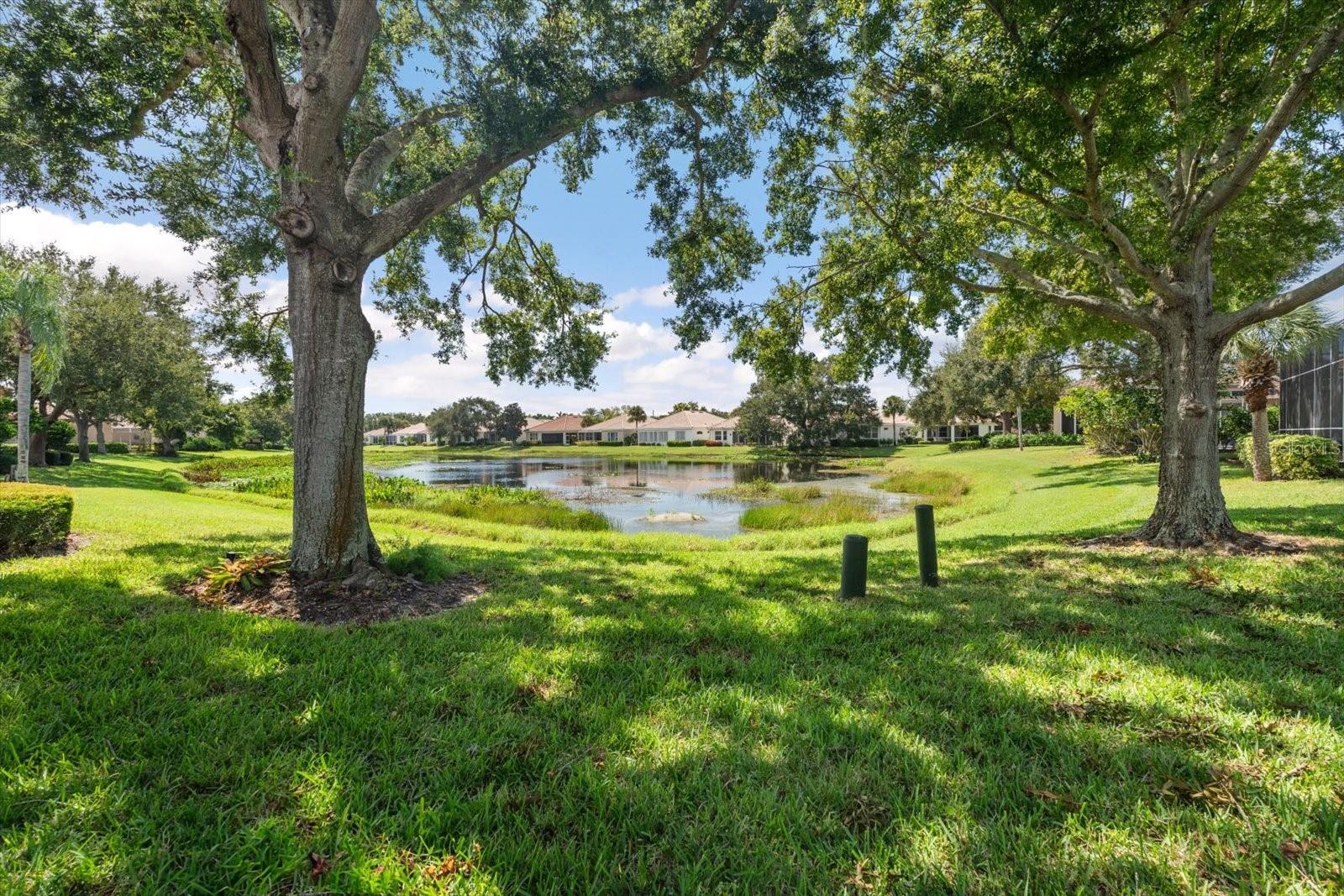 MIRA LAGO AT PALMER RANCH PH 3 - Residential