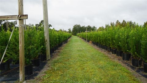 Tiny photo for 00 Douglas Road, Groveland, FL 34736 (MLS # G5103951)