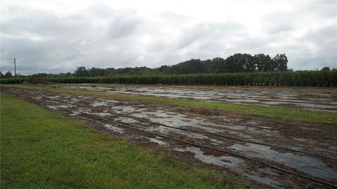 Tiny photo for 00 Douglas Road, Groveland, FL 34736 (MLS # G5103951)