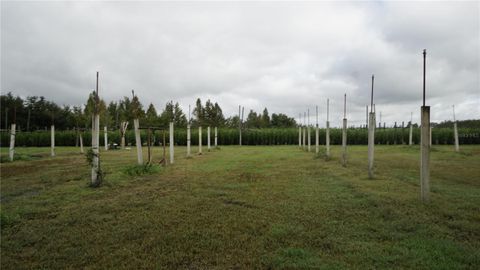 Tiny photo for 00 Douglas Road, Groveland, FL 34736 (MLS # G5103951)