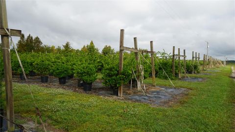 Tiny photo for 00 Douglas Road, Groveland, FL 34736 (MLS # G5103951)