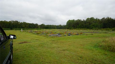 Tiny photo for 00 Douglas Road, Groveland, FL 34736 (MLS # G5103951)