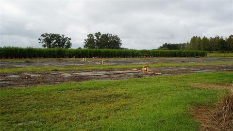 Tiny photo for 00 Douglas Road, Groveland, FL 34736 (MLS # G5103951)