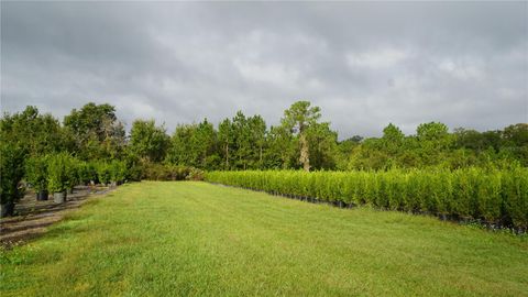 Tiny photo for 00 Douglas Road, Groveland, FL 34736 (MLS # G5103951)