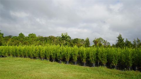 Tiny photo for 00 Douglas Road, Groveland, FL 34736 (MLS # G5103951)