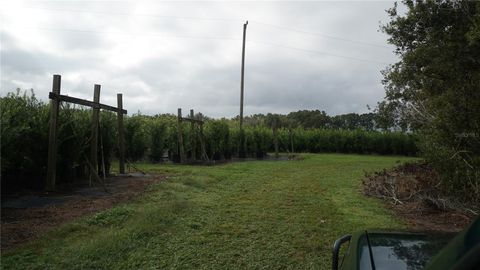 Tiny photo for 00 Douglas Road, Groveland, FL 34736 (MLS # G5103951)