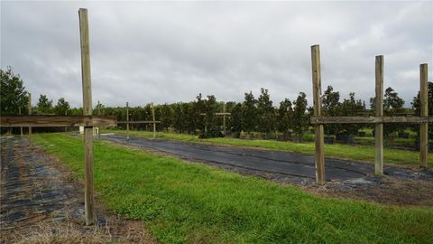 Tiny photo for 00 Douglas Road, Groveland, FL 34736 (MLS # G5103951)