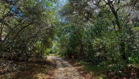 Tiny photo for 3476 N Iguana Path, Crystal River, FL 34428 (MLS # TB8518747)
