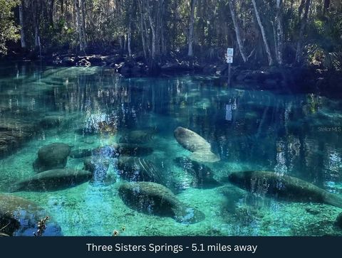 Tiny photo for 3476 N Iguana Path, Crystal River, FL 34428 (MLS # TB8518747)