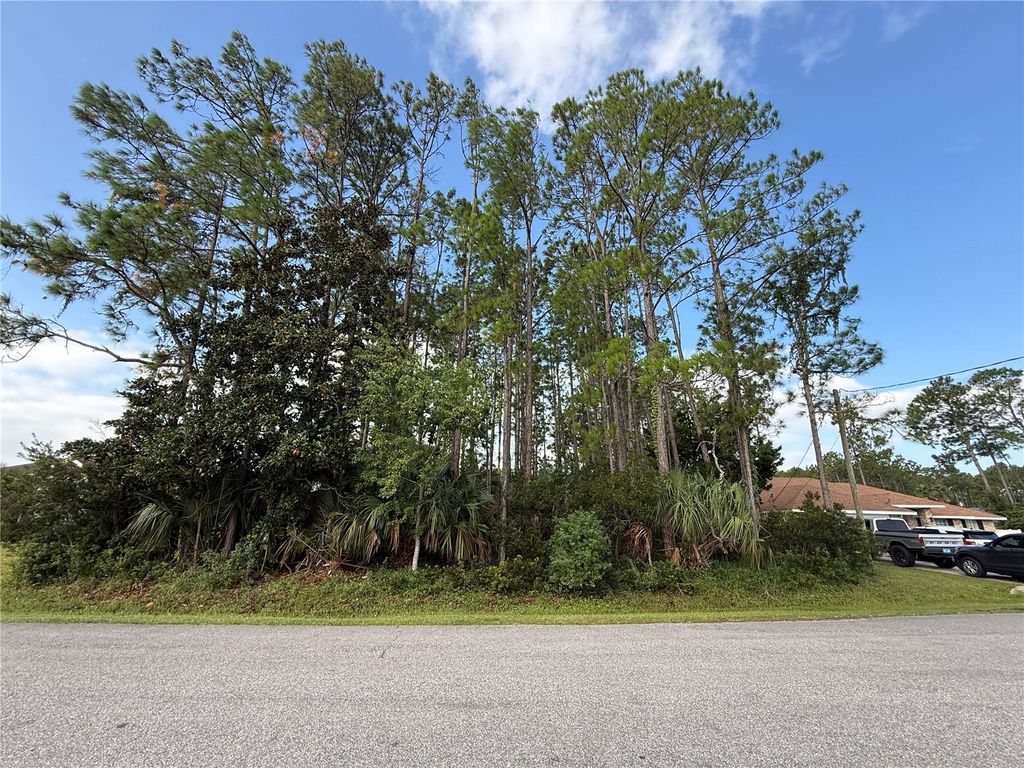 Photo of 19 Lindberg Lane, Palm Coast, FL 32137 (MLS # FC313085)