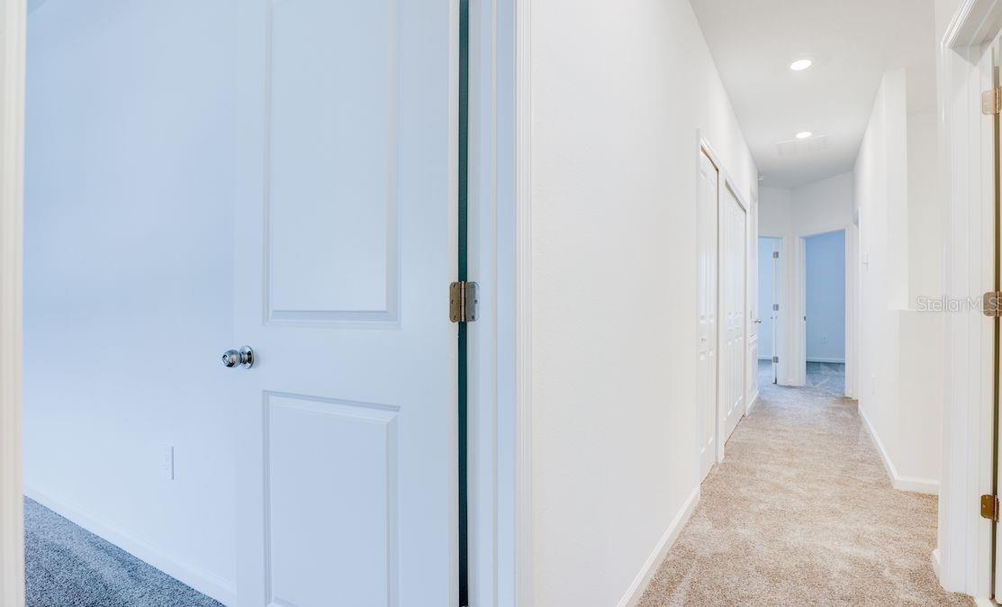 FOX NORTH - Residential Lease