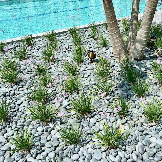 WATERCOLOR PLACE PH II - Residential