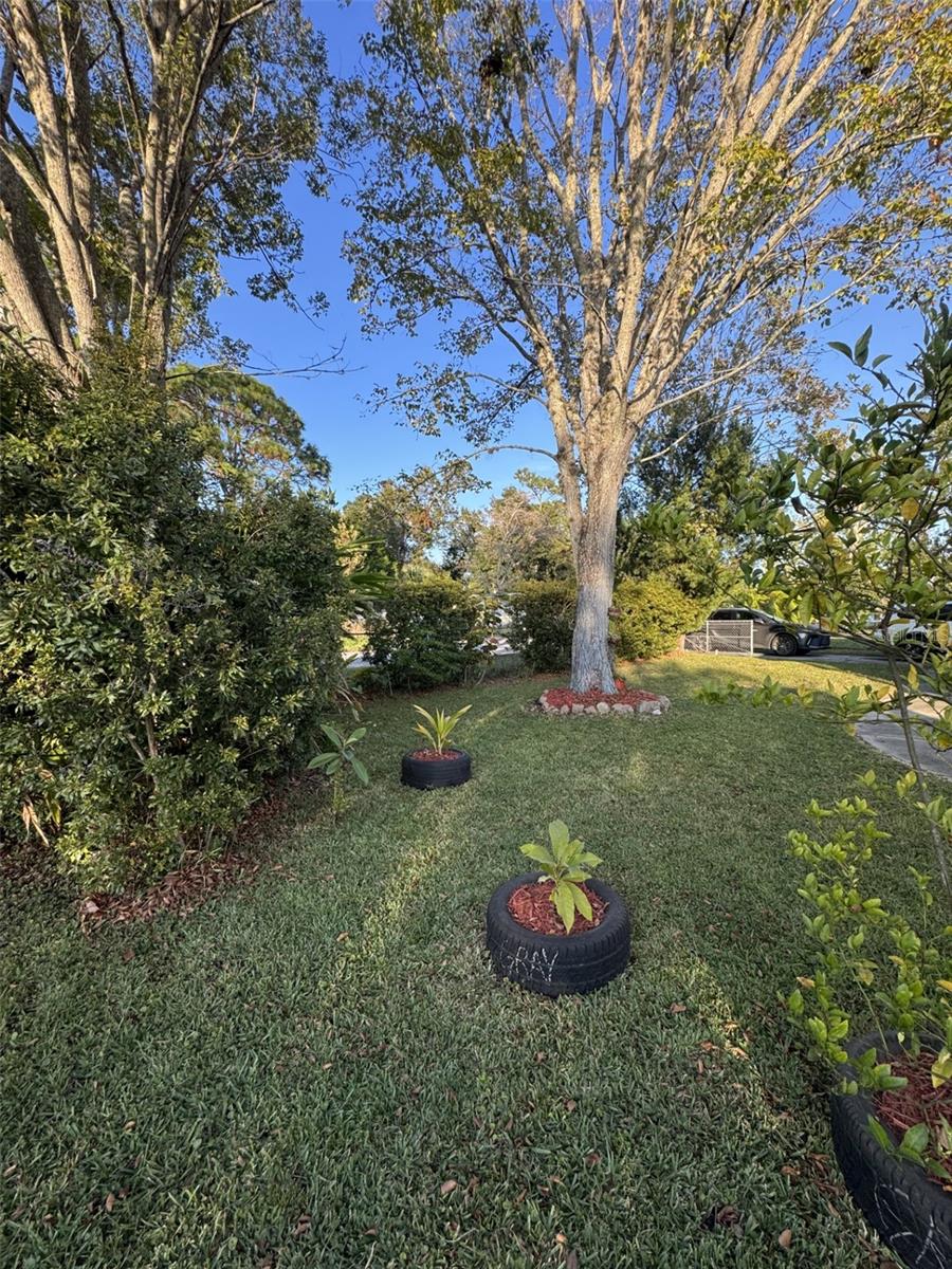 2701 - DAYTONA PINES/ORMOND BREEZE, O.B. - Residential