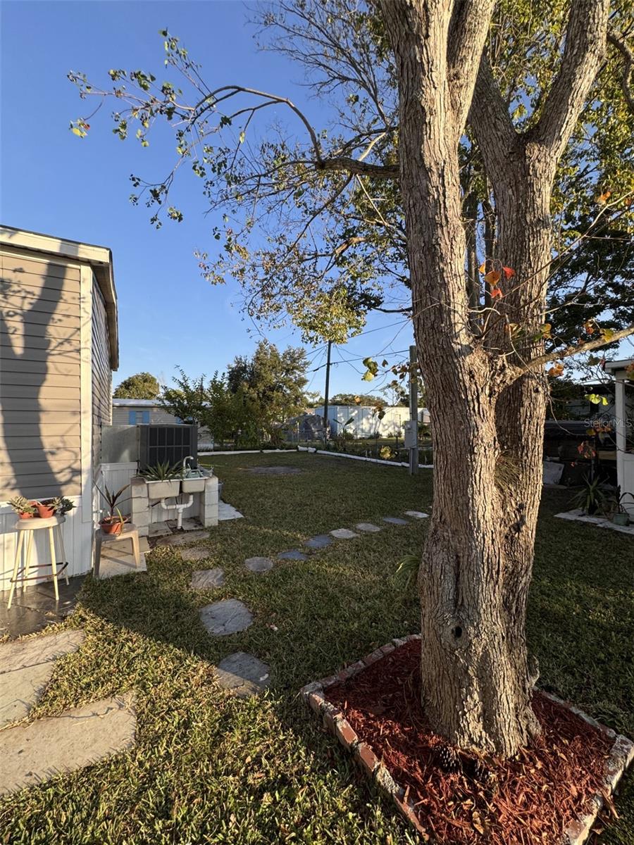 2701 - DAYTONA PINES/ORMOND BREEZE, O.B. - Residential