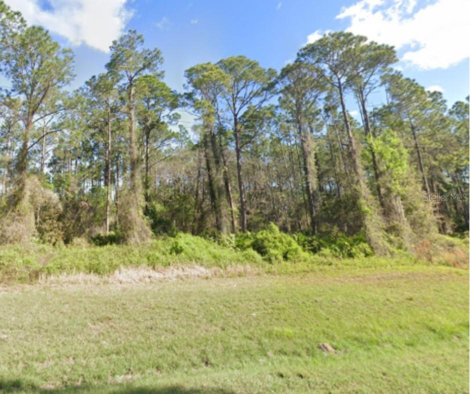 Incredible Opportunity – Rare Expansive 1.03 Acres of Peaceful Florida Living in Georgetown! Offered Below Fair Market Value. Seller Financing Available* Located in the quiet, rural community of Georgetown, FL, in Putnam County, this 1.03-acre residential lot offers a great opportunity to build your dream home or place a mobile home. Mobile homes and single-family residences are allowed, and you can even park an RV on the property if you live on the parcel! Enjoy the tranquility of country living while still being just minutes from the scenic Lake George and the St. Johns River—perfect for boating, fishing, and weekend adventures. The lot features natural, wooded terrain with plenty of space for customization—whether you're looking for a private retreat, future homesite, or smart land investment. With low property taxes, you’ll have the flexibility and freedom to create what you envision. Don’t miss out on this affordable piece of Florida land with long-term potential! Call Now.
*Seller Financing available with 25% down payment + taxes and fees. Monthly payments as low as $272.89/month for 120 months. Please inquire for details. Terms apply. Lot sold AS-IS. We believe all information provided here is correct to the best of our ability, however, buyer is responsible for conducting their own due diligence to verify all information provided. Lot measurements are estimates and not exact measures.